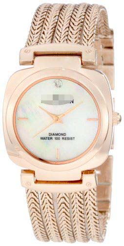 10/9764MPRG Watch Battery