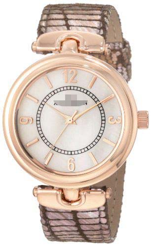 10/9836RGPK Watch Battery