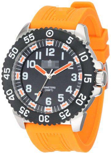 1100 Watch Battery
