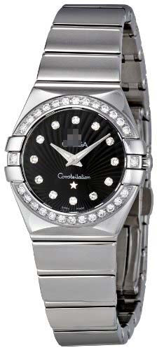 123.15.24.60.51.002 Watch Battery