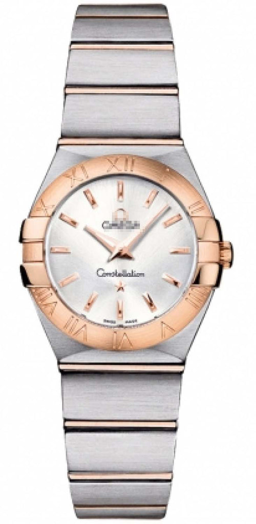 123.20.24.60.02.001 Watch Battery