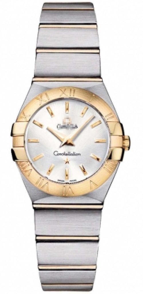 123.20.24.60.02.002 Watch Battery