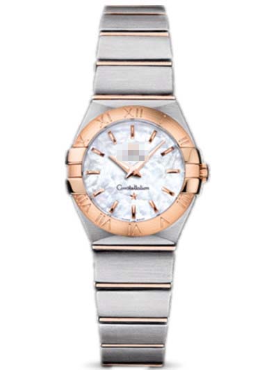 123.20.24.60.05.001 Watch Battery