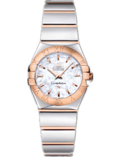 123.20.24.60.05.003 Watch Battery