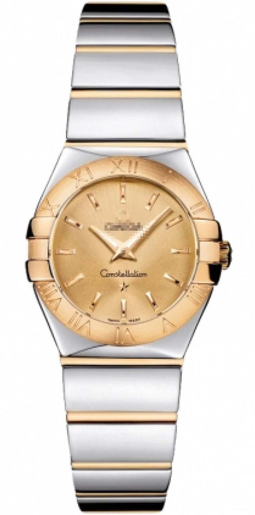 123.20.24.60.08.002 Watch Battery