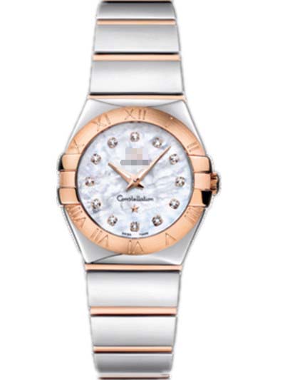 123.20.24.60.55.003 Watch Battery
