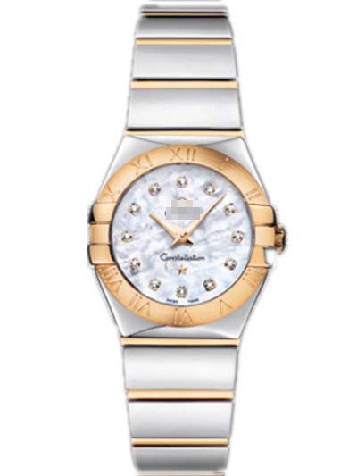 123.20.24.60.55.004 Watch Battery