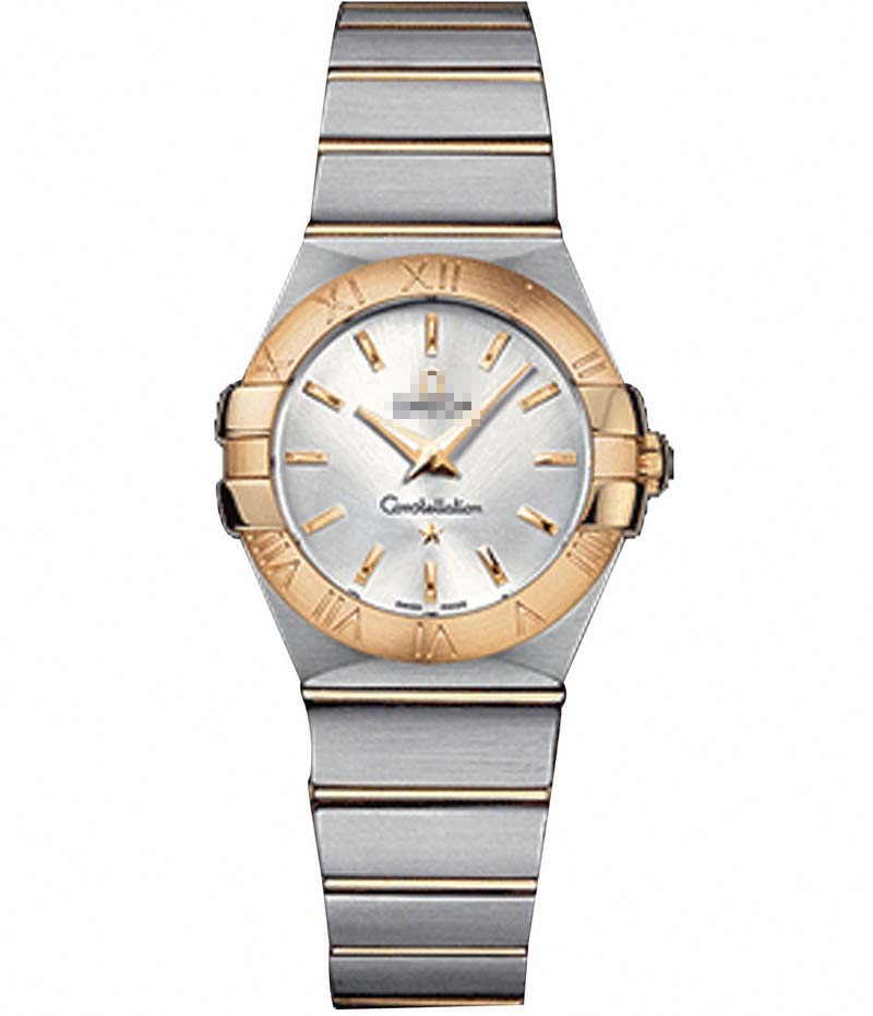 123.20.27.60.02.002 Watch Battery