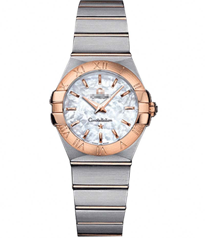 123.20.27.60.05.001 Watch Battery