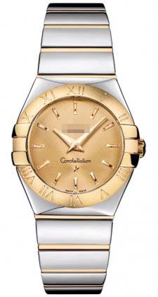 123.20.27.60.08.002 Watch Battery