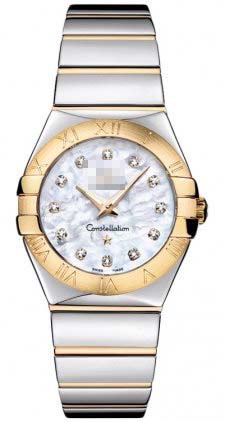 123.20.27.60.55.004 Watch Battery