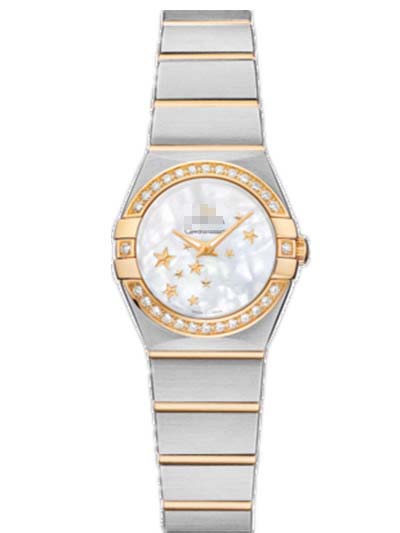 123.25.24.60.05.001 Watch Battery