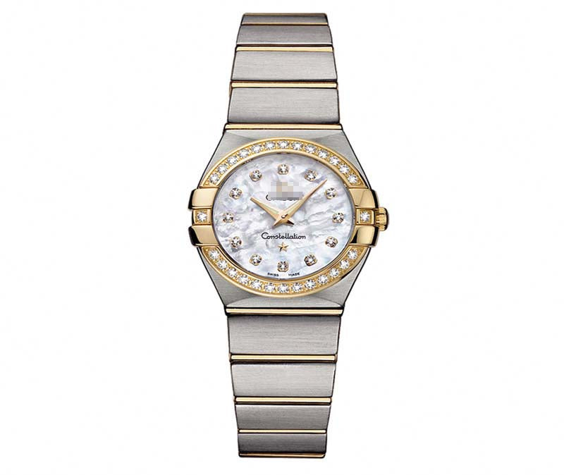 123.25.24.60.55.003 Watch Battery