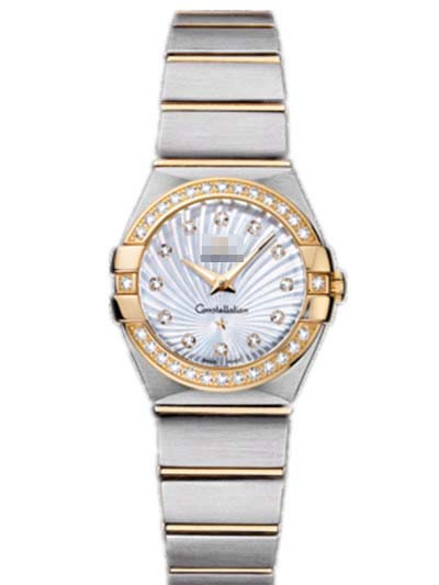 123.25.24.60.55.004 Watch Battery