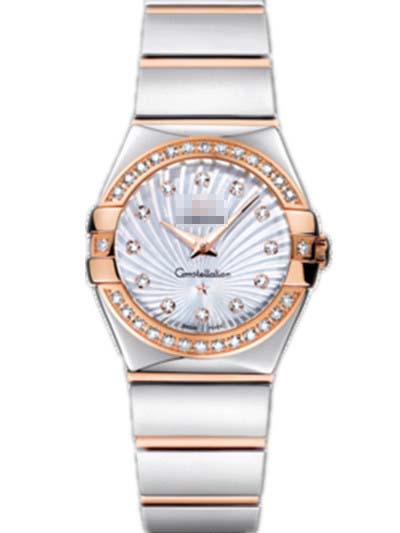 123.25.24.60.55.006 Watch Battery