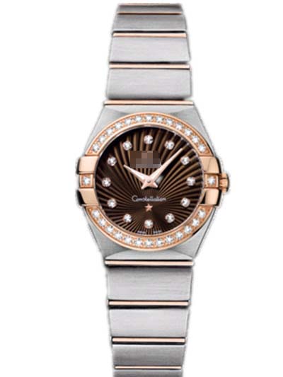 123.25.24.60.63.001 Watch Battery