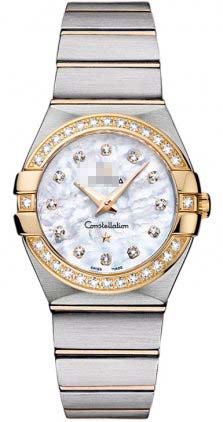 123.25.27.60.55.003 Watch Battery