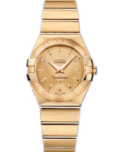 123.50.27.60.08.001 Watch Battery