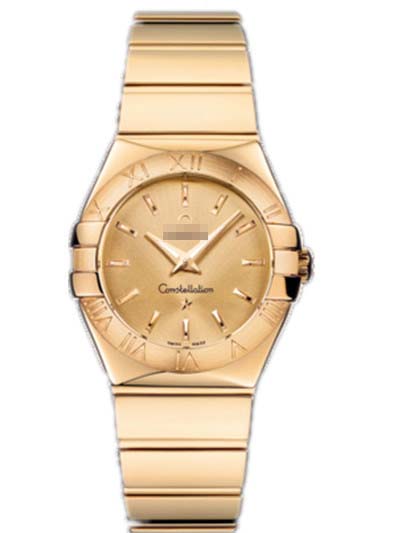 123.50.27.60.08.002 Watch Battery