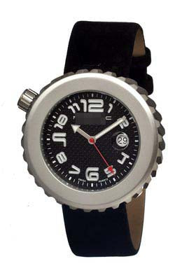 1301 Watch Battery