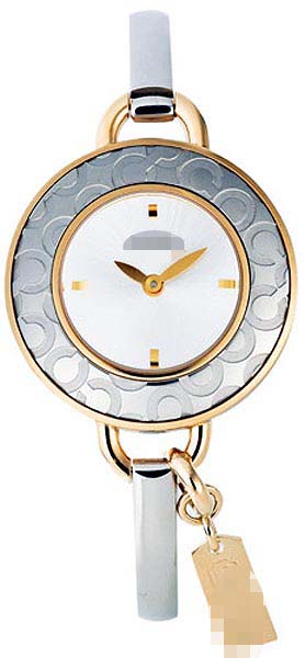 14501242 Watch Battery