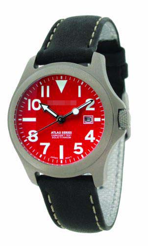 1M-SP01R2B Watch Battery
