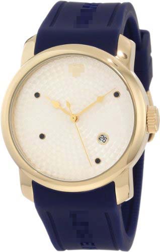 20028-YG-02S-BL Watch Battery