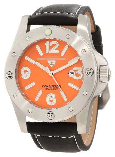 20188-06 Watch Battery