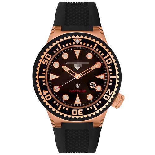 21818D-RG-01 Watch Battery