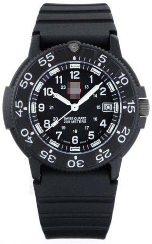 3001 Watch Battery