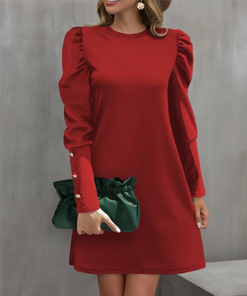 Fashion Crew Neck Long Sleeve Plain Loose Short Dress