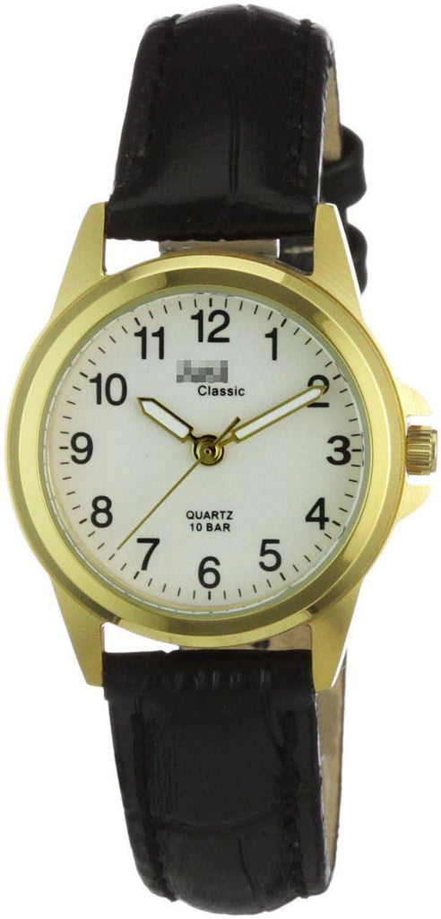 48-S31025-GD Watch Battery