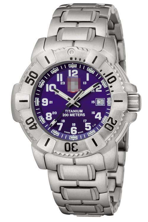6604 Watch Battery