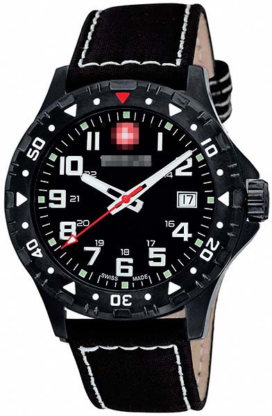 79304W Watch Battery