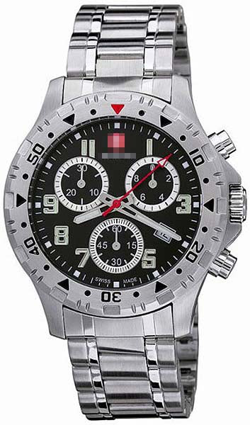 79355W Watch Battery
