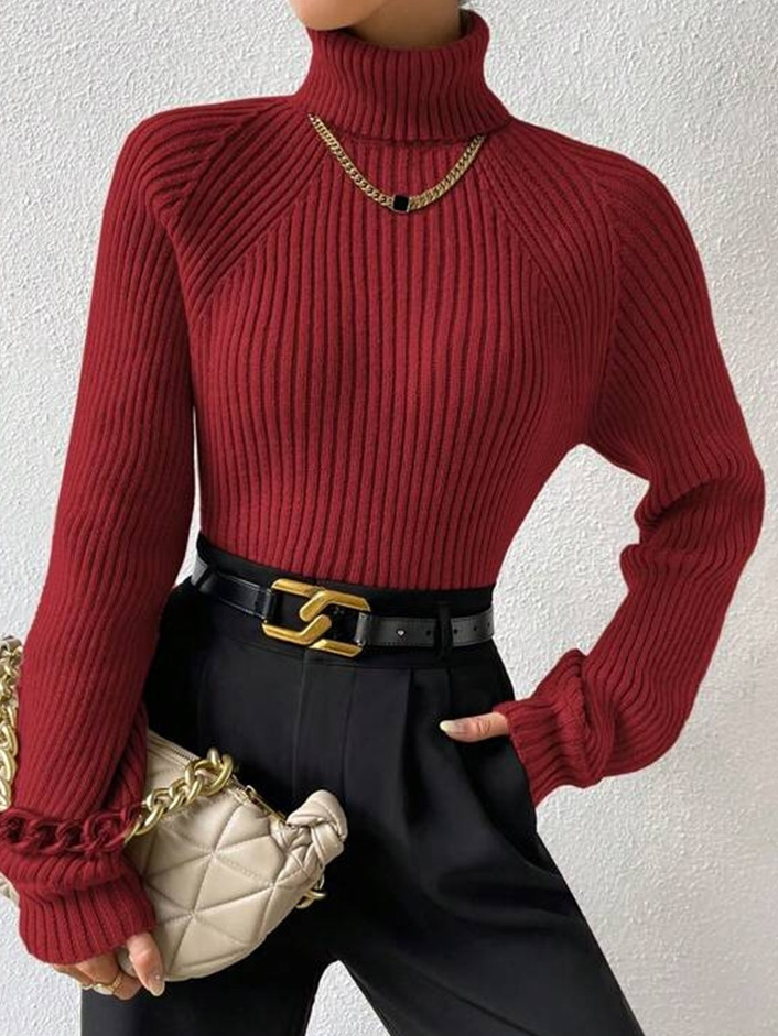 Fashion Long Sleeve Turtleneck Plain Loose Regular Sweater