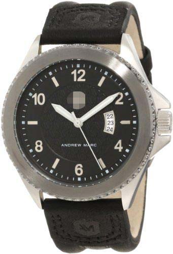 A11102TP Watch Battery