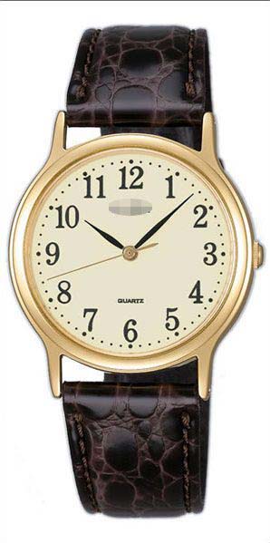 AIGN003_japan Watch Battery