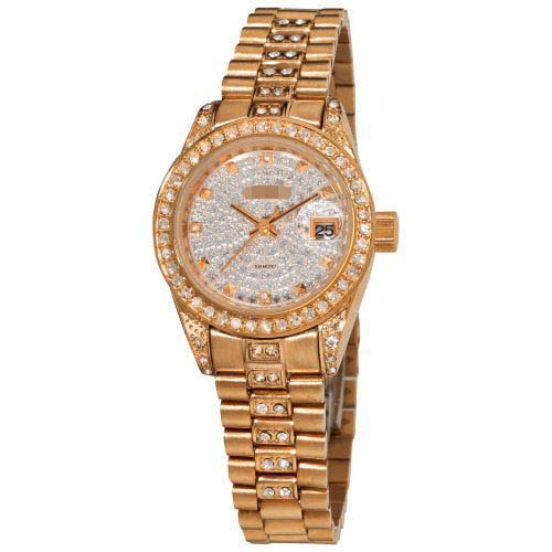 AK487RG Watch Battery