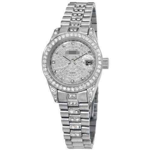 AK487SS Watch Battery