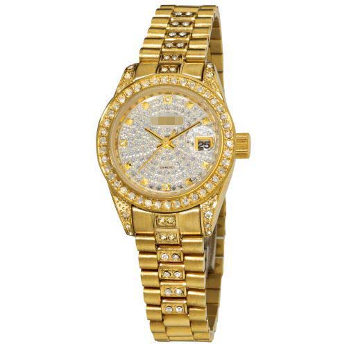 AK487YG Watch Battery