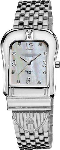 AK528SS Watch Battery