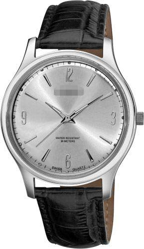 AK539SS Watch Battery