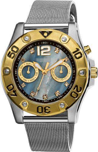 AK553SSG Watch Battery