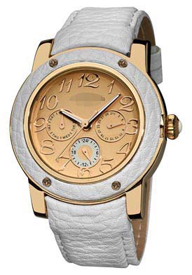 AK560WT Watch Battery
