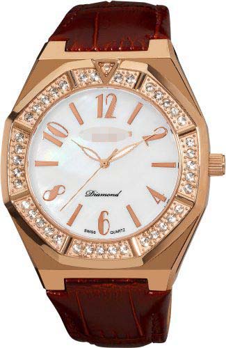 AKR490RG Watch Battery