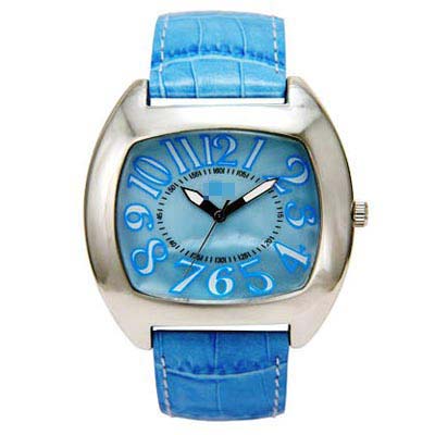 AL979-BLZ Watch Battery
