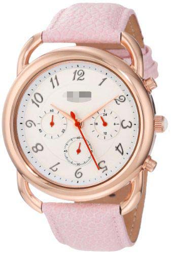 AL-80012-YG-02-PN Watch Battery