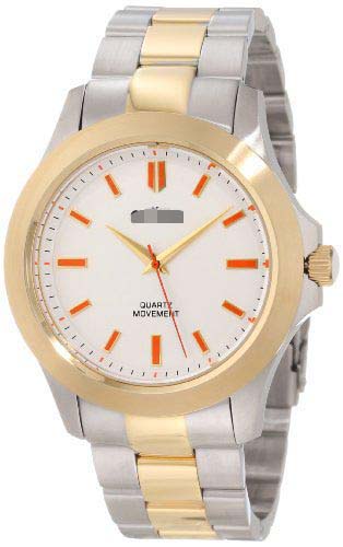 AL-80013-YG-SS-22 Watch Battery