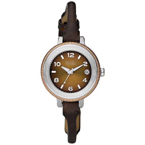 AM4353 Watch Battery
